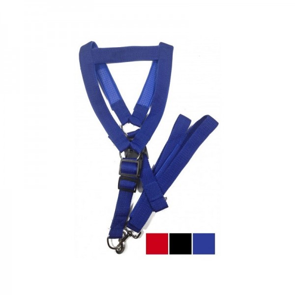 ΣΑΜΑΡΑΚΙ ΣΚΥΛΟΥ ΜΕ ΛΟΥΡΑΚΙ